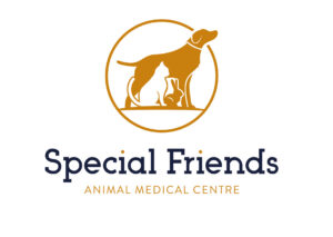 Special_Friends_Logo-Stacked-WhiteBG Special Friends